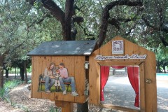 book-crossing-10