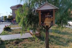 book-crossing-11