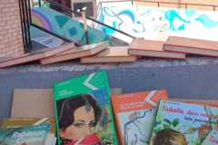 book-crossing-14