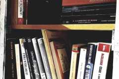 book-crossing-23